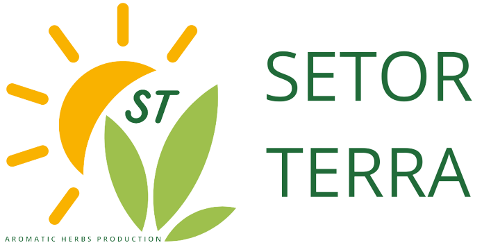 SETOR TERRA | PRODUCTION AND COMMERCIALIZATION OF AROMATICS HERBS